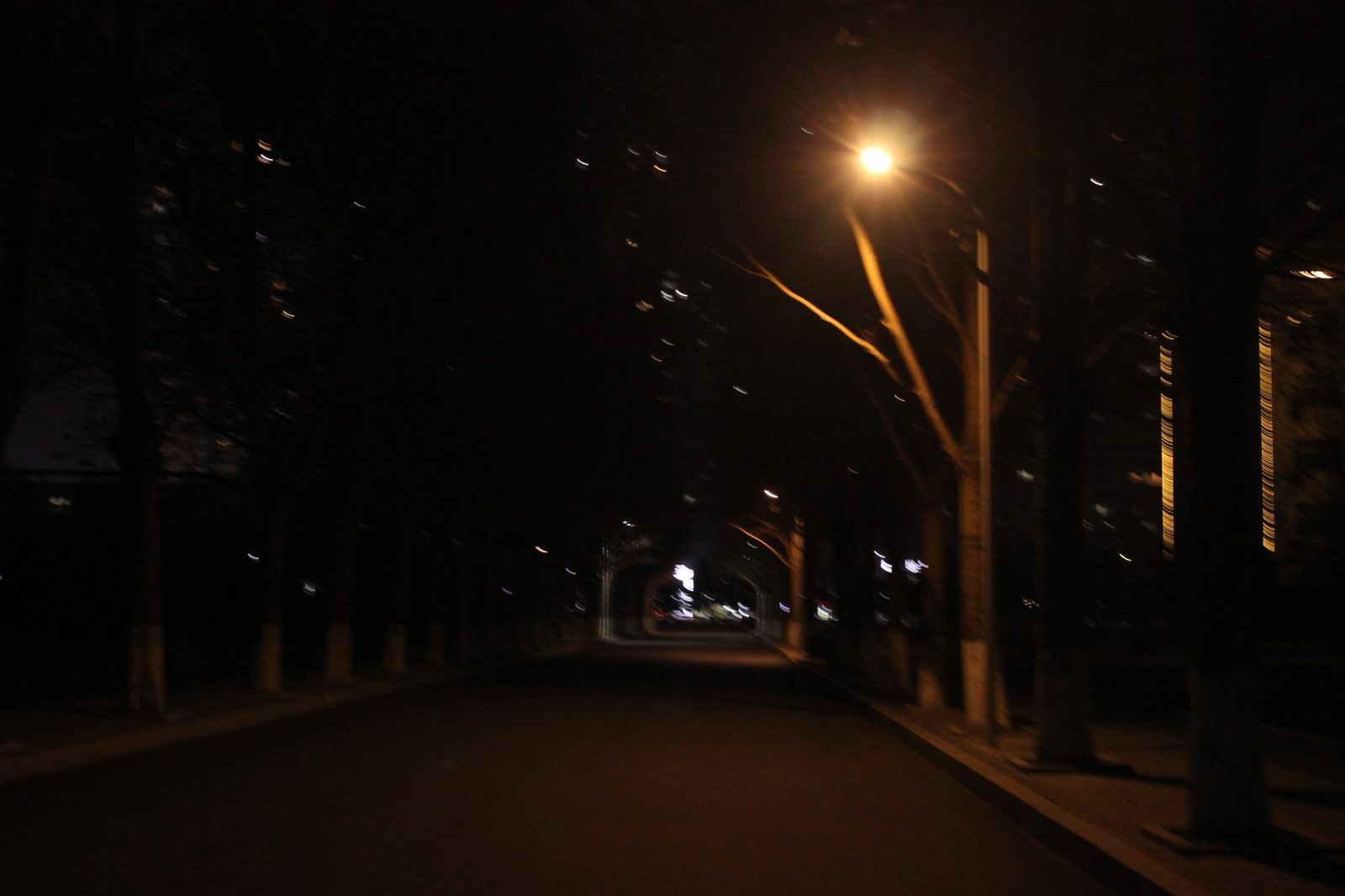 校园夜路